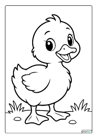 Eendje kleurplaat — gratis printbare PDF