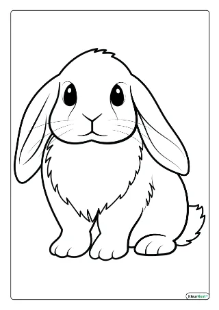 Hangoor konijn kleurplaat — gratis printbare PDF