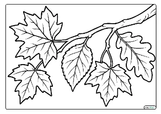 Herfstbladeren aan tak kleurplaat — gratis printbare PDF