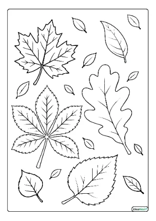 Herfstbladeren kleurplaten — gratis printbare PDF's