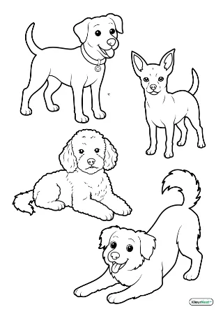 Honden kleurplaat — gratis printbare PDF