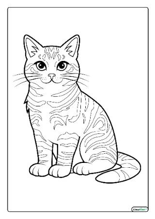 Kat kleurplaat — gratis printbare PDF