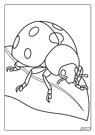 Lieveheersbeestje op blad kleurplaat — gratis printbare PDF