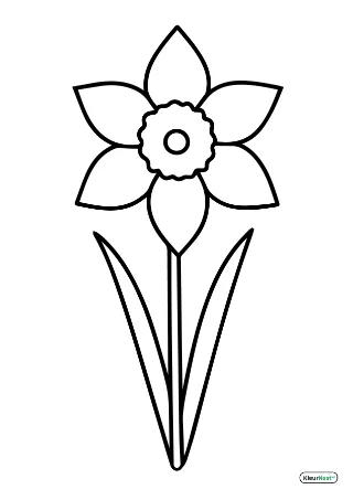 Makkelijke narcis kleurplaat — gratis printbare PDF