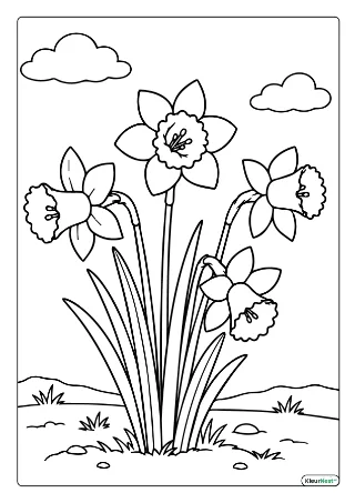 Narcissen in lente kleurplaat — gratis printbare PDF