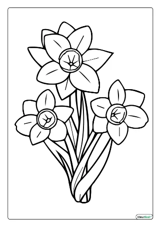Narcissen kleurplaat — gratis printbare PDF