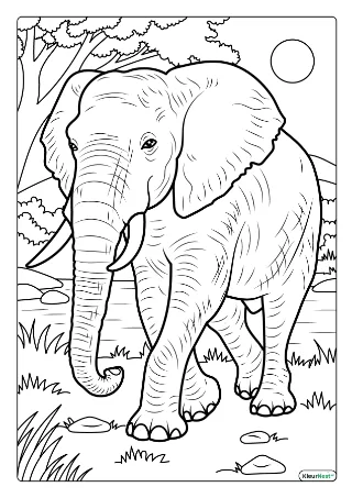 Olifant volwassenen kleurplaat — gratis printbare PDF