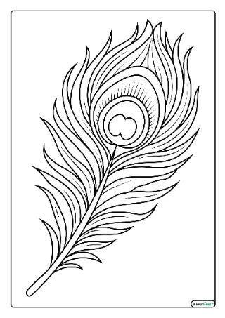 Pauwenveer kleurplaat — gratis printbare PDF