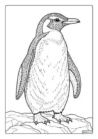 Pinguin moeilijk kleurplaat — gratis printbare PDF