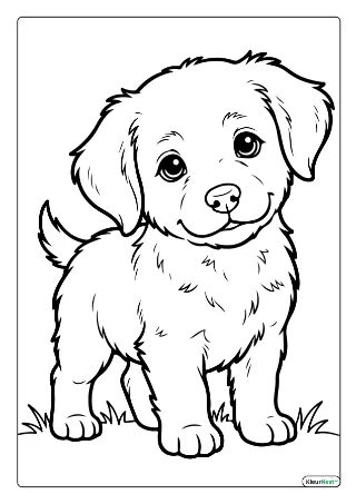 Puppy kleurplaat — gratis printbare PDF