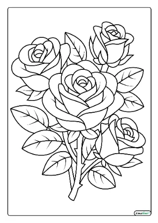 Rozen kleurplaat — gratis printbare PDF