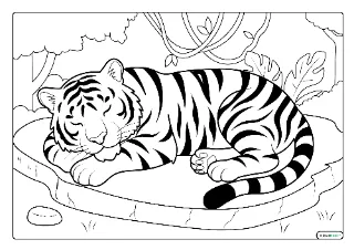 Slapende tijger kleurplaat — gratis printbare PDF