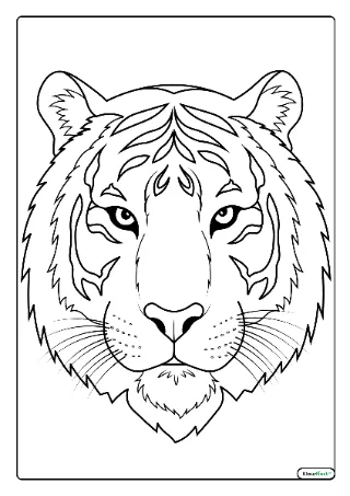 Tijgerkop kleurplaat — gratis printbare PDF