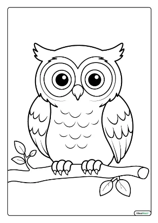 Uilen kleurplaten — gratis printbare PDF's