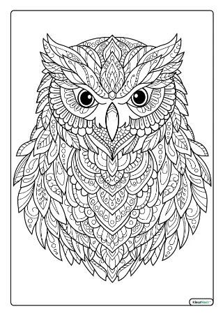 Uil mandala kleurplaat — gratis printbare PDF