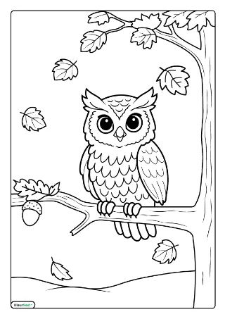 Uil op tak in de herfst kleurplaat — gratis printbare PDF