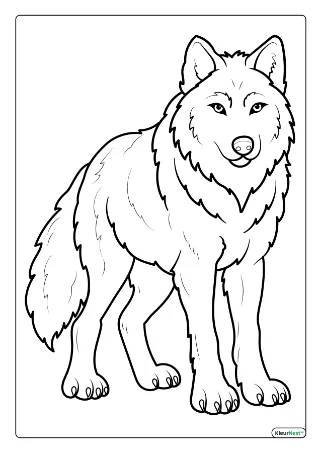 Wolf kleurplaten — gratis printbare PDF's