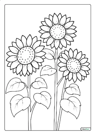 Zonnebloemen kleurplaat — gratis printbare PDF